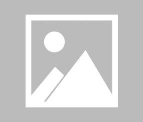 陕西师范大学录取分数线