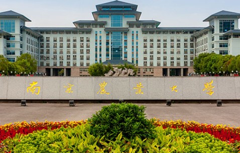 南京农业大学(南京农业大学是211大学吗)