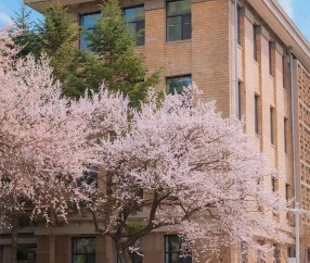 吉林大学王牌专业