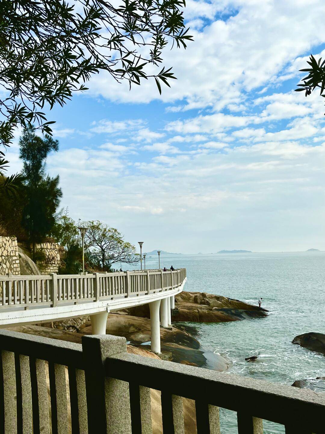 厦门大学(厦门大学电子科学与技术学院)