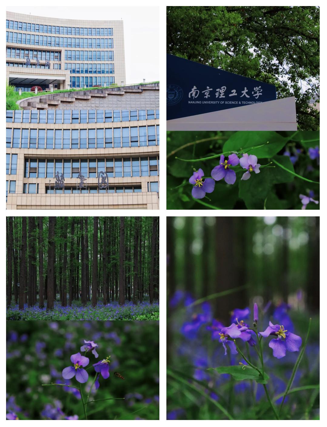 南京理工大学2024年录取分数线