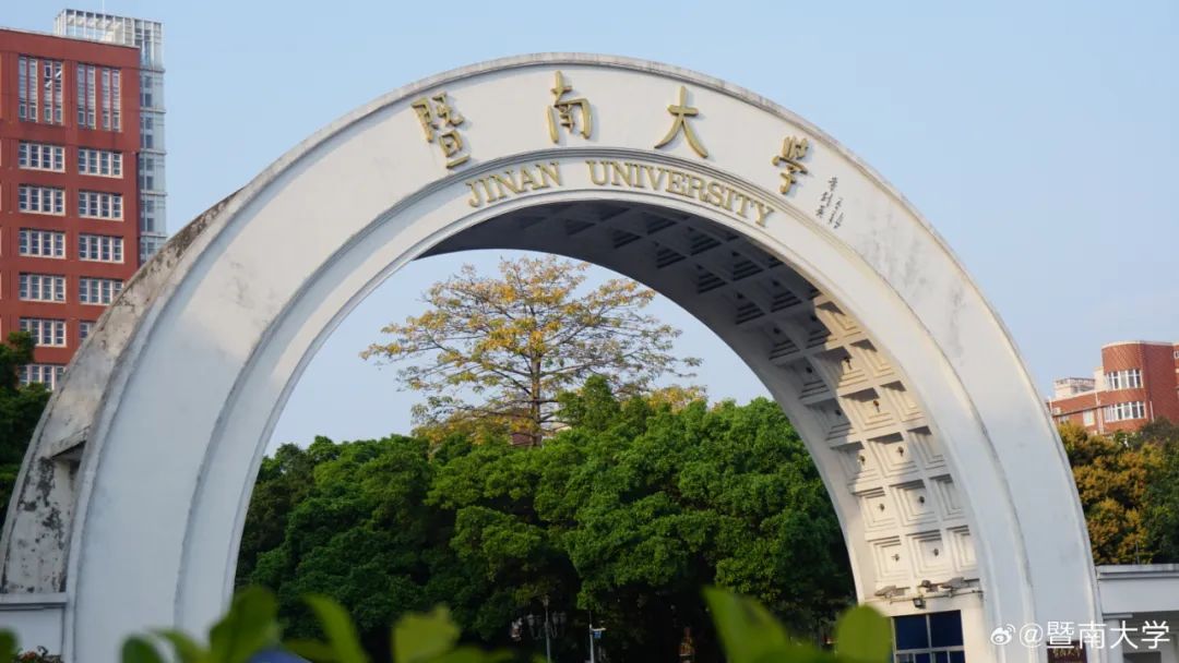 暨南大学王牌专业