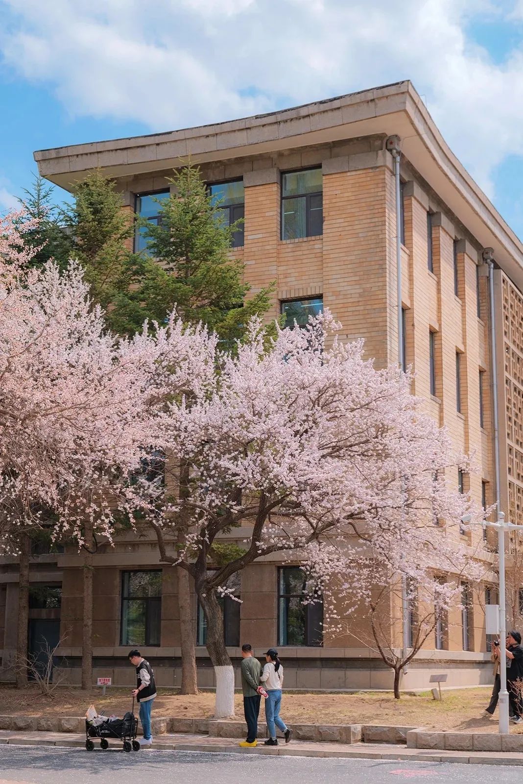 吉林大学王牌专业